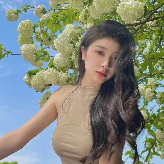 热门美女视频合集